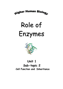 Role of Enzymes