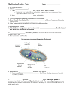 Documents