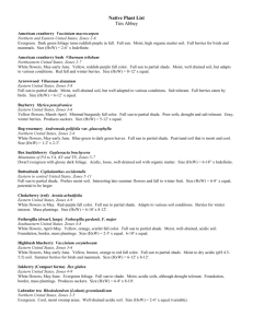 Arrowwood - UConn Plant Database