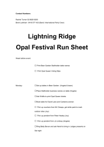 Function Sheet: - Lightning Ridge Opal Festival