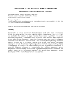 Conservation tillage related to tropical forest issues