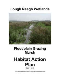 5.3. Floodplain Grazing Marsh Habitat Action Plan
