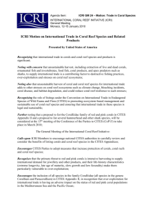 Agenda Item 8 - International Coral Reef Initiative