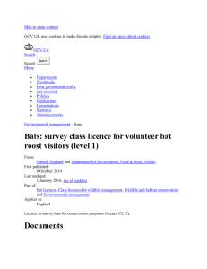 Bats: survey class licence for volunteer bat roost visitors (level 1
