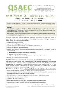 Rat disposal - Education Queensland