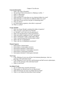Chapter 8 Test Review Sheet