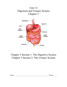 Diagnose the Digestive Problem