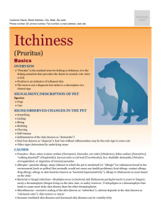 itchiness_(pruritis)