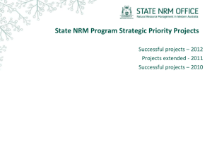 Complete list of strategic priority projects