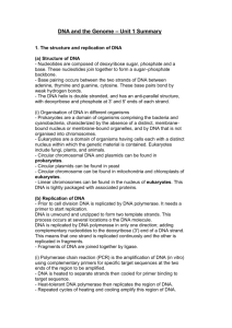 1 The structure and replication of DNA