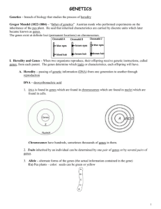 Genetics Notes