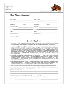 Stud Dog Contract - Collie Club of America