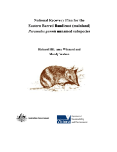 Recovery Plan 2009-2014: WA Interim recovery plan no. 287