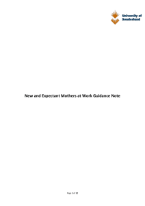 New and Expectant Mothers at Work Guidance Note