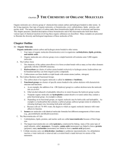 CHAPTER 3 THE CHEMISTRY OF ORGANIC MOLECULES