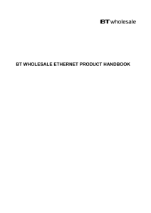 1. about bt wholesale ethernet
