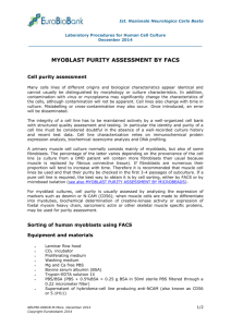 Myoblast purity assessment by FACS