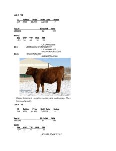 Lot # `25 - K2 Red Angus