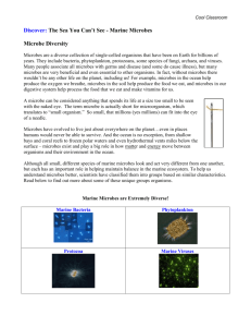 diversity of marine microbes