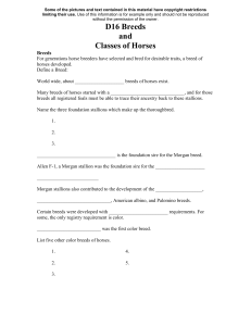 Breeds & Classes Notes
