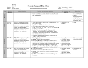 Week 4 Lesson Plans - Houston Independent School District