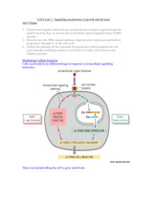 Signalling Mechanisms of Cell Growth and Division
