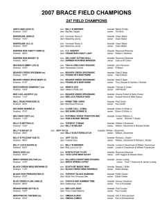 2007 field champions - American Brace Beagling Association