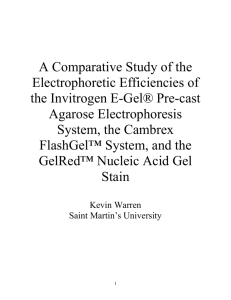 A Comparative Study of the Electrophoretic Efficiencies of the