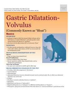 gastric_dilatation-volvulus