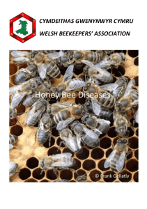 Diseases-Document-A5 - Welsh Beekeepers Association