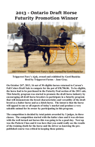 Carson`s Draft Horse Futurity Promotion – Program