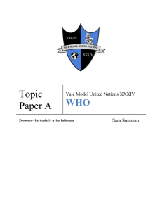 YMUN 2008 WHO Topic Paper A