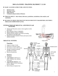 2010 anatomy–training handout 2-2-10