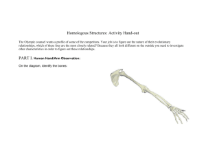 Homologous Structures: Activity Hand-out