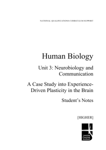 A Case Study on Plasticity in the Brain (student`s notes)
