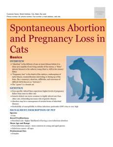 spontaneous_abortion_and_pregnancy_loss_in_cats