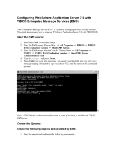 TIBCO Enterprise Message Service (EMS) is a common messaging
