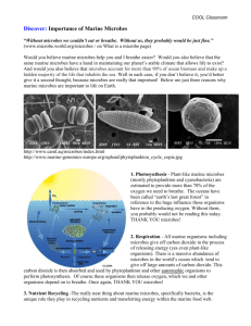 Importance of Marine Microbes