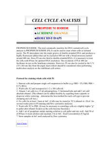 Cell-cycle-analysis