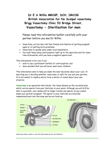 Vasectomy information leaflet