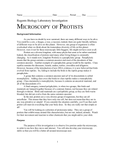 Microscopy of Protists