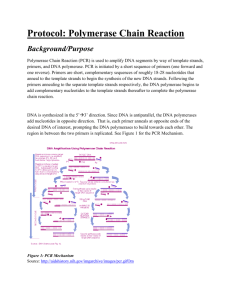 Edited_PCR_Protocol_2-16-09
