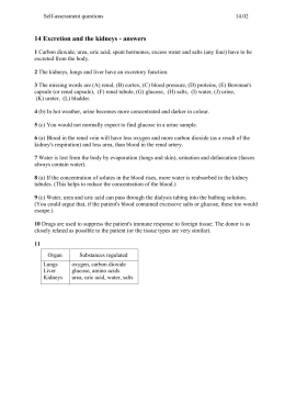essay on good mother