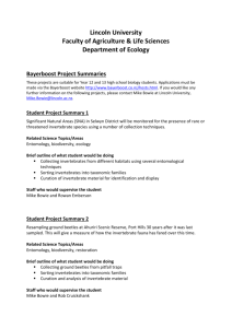 Bayerboost Project Summaries