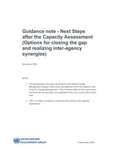 Guidance note Options after the capacity assessment