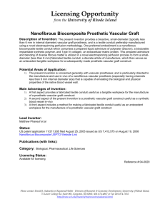 Nanofibrous Biocomposite Prosthetic Vascular Graft