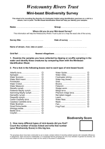Mini-beast Biodiversity Survey Sheet (B06c)