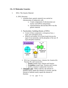 Ch.-12-Molecular-Genetics