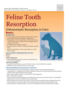 feline_tooth_resorption