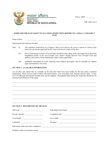 Form for Dam Safety Inspection Report
